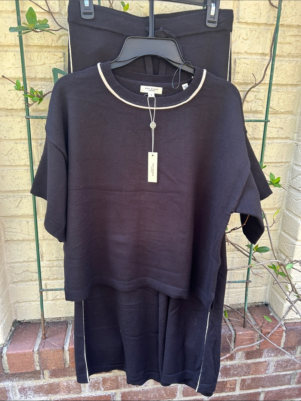 Max Studio Black Knit Short-Sleeve Top with Cream Neck Trim